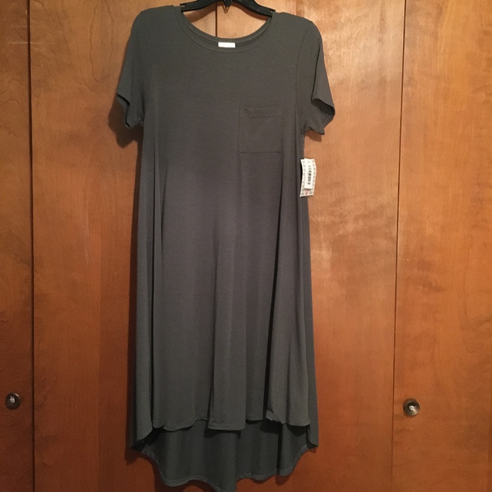 NWT LuLaRoe Carly dress size small